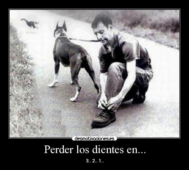 Perder los dientes en... - 3.. 2.. 1..