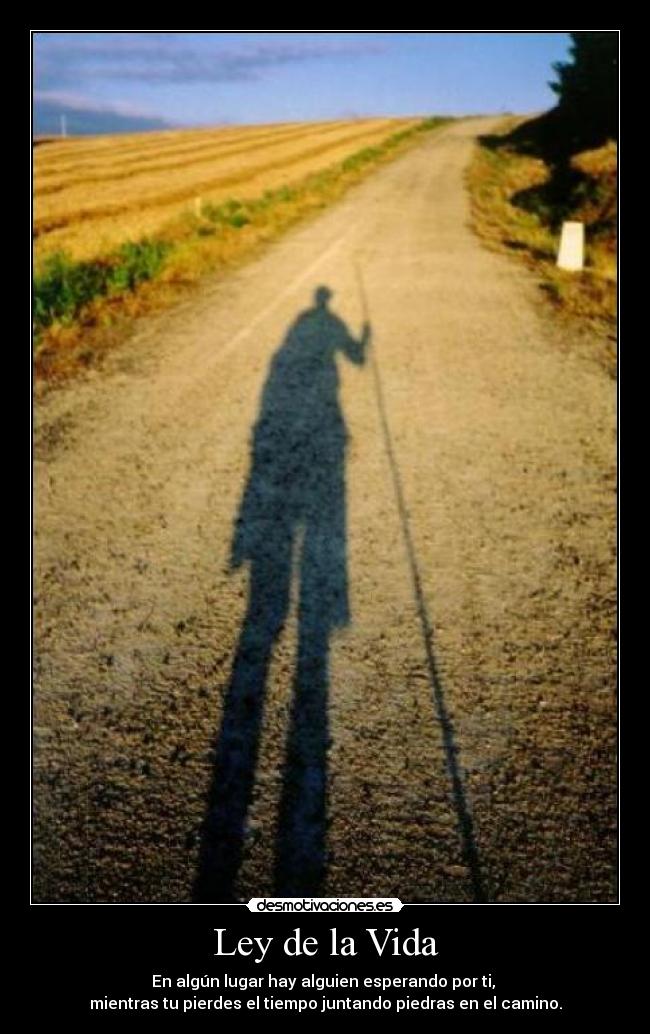 Ley de la Vida - En algún lugar hay alguien esperando por ti,
mientras tu pierdes el tiempo juntando piedras en el camino.