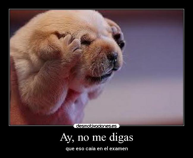 Ay, no me digas - que eso caía en el examen