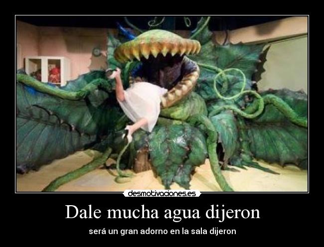Dale mucha agua dijeron - 