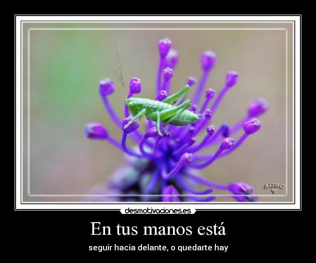 En tus manos está - seguir hacia delante, o quedarte hay