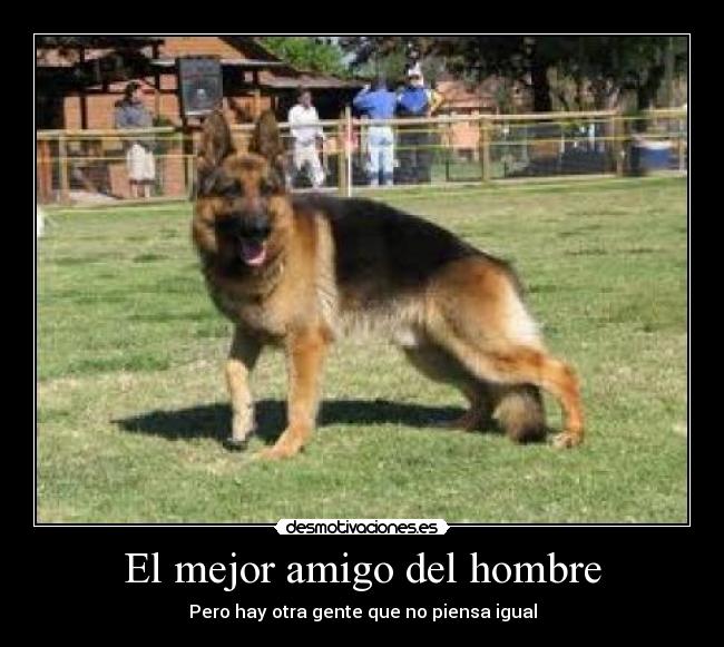 El mejor amigo del hombre - Pero hay otra gente que no piensa igual