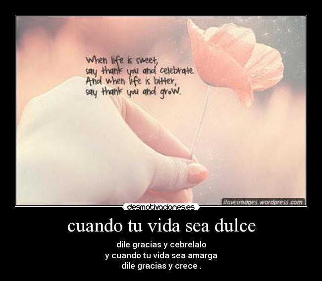 carteles vida ss1996 desmotivaciones