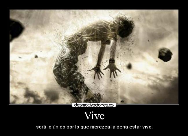 Vive -