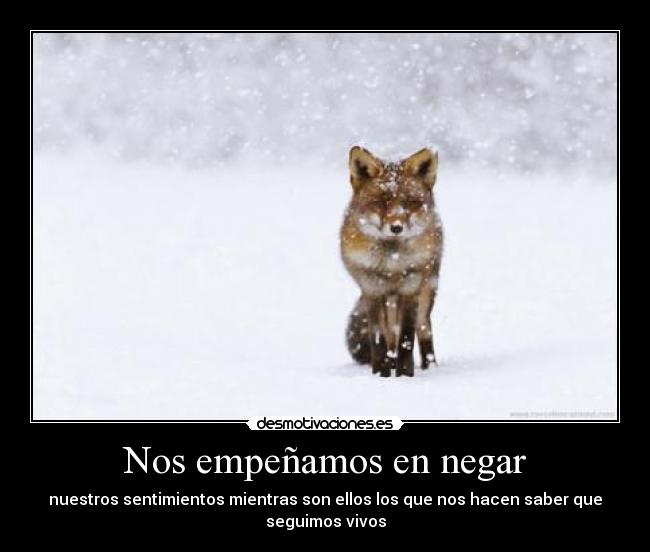 Nos empeñamos en negar - nuestros sentimientos mientras son ellos los que nos hacen saber que
seguimos vivos