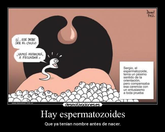 Hay espermatozoides - Que ya tenían nombre antes de nacer.