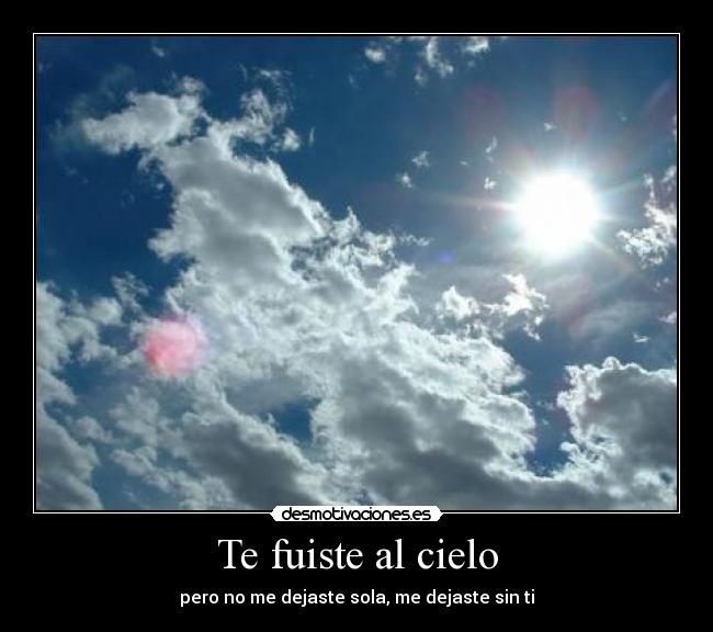 Te fuiste al cielo - 