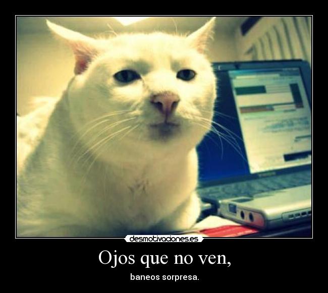 carteles slipkdemon intruders clandesplazado clanhorde catkillers walt ban desmotivaciones