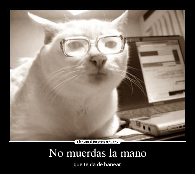 No muerdas la mano -