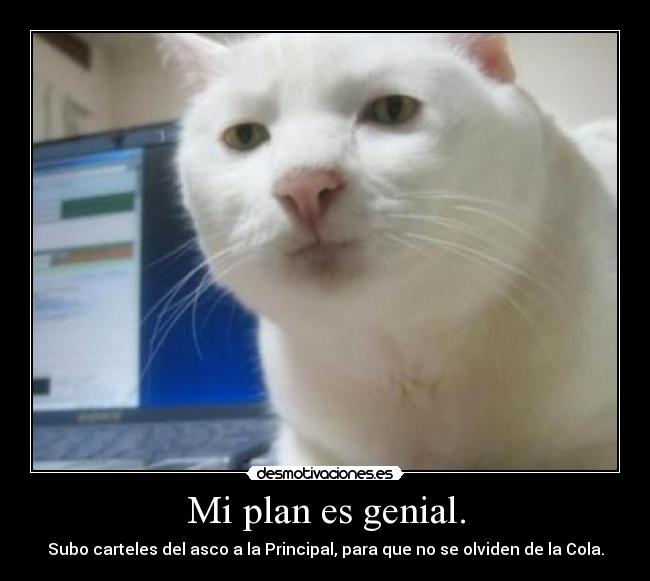 Mi plan es genial. -
