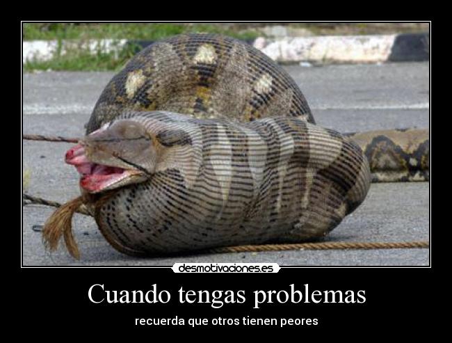 carteles problemas problemas desmotivaciones
