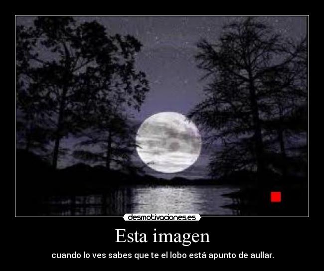 Esta imagen - cuando lo ves sabes que te el lobo está apunto de aullar.