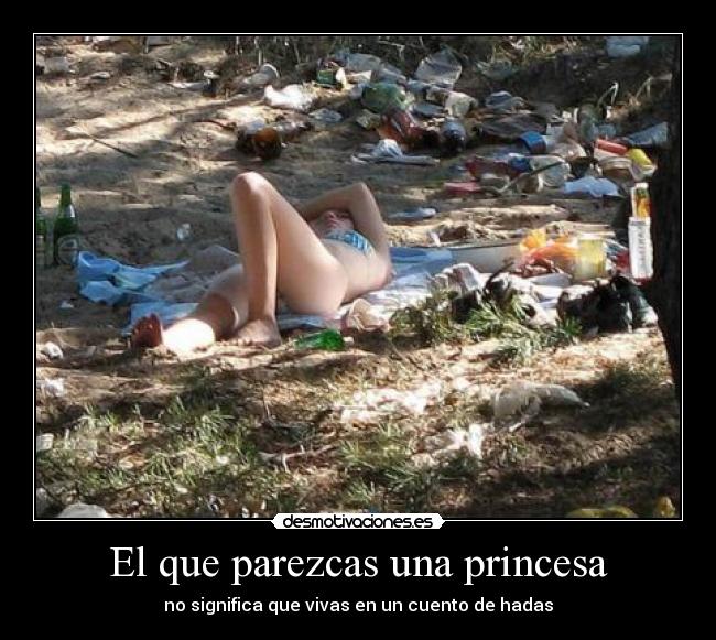 carteles princesas alcoholicas desmotivaciones