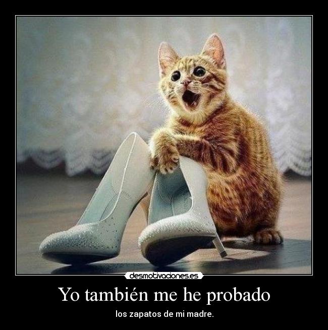 Yo también me he probado - 