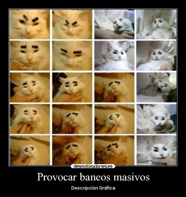 Provocar baneos masivos - Descripción Gráfica