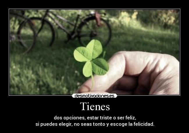 Tienes - dos opciones, estar triste o ser feliz,
si puedes elegir, no seas tonto y escoge la felicidad.
