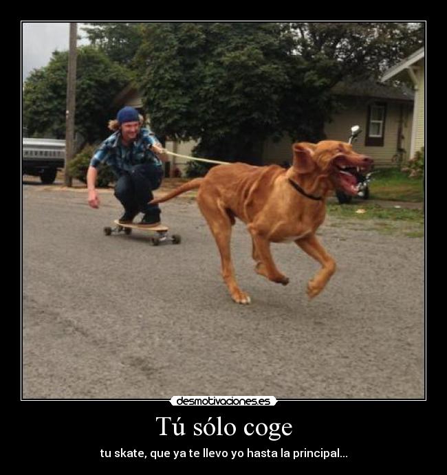 Tú sólo coge - tu skate, que ya te llevo yo hasta la principal...
