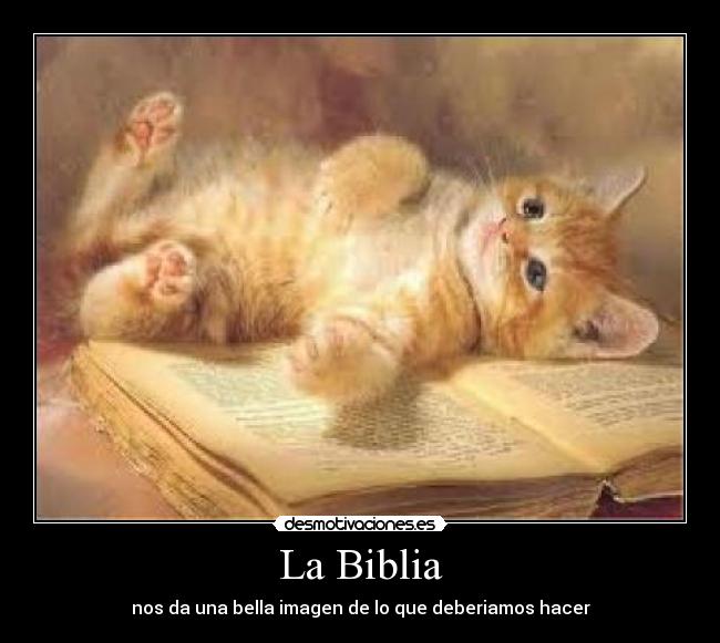 carteles biblia nos una bella imagen que deberiamos hacer desmotivaciones