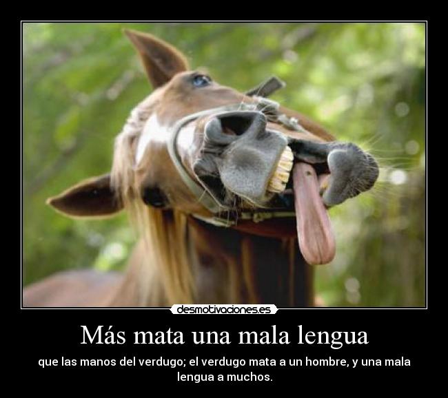 Más mata una mala lengua - que las manos del verdugo; el verdugo mata a un hombre, y una mala
lengua a muchos.