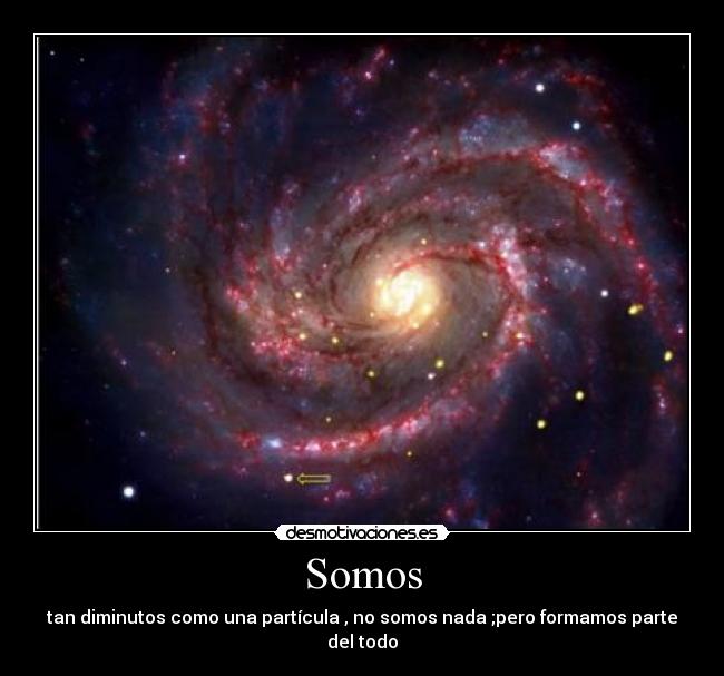 Somos -