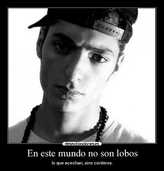 En este mundo no son lobos - 