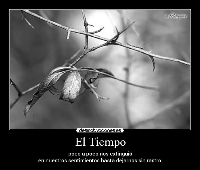 El Tiempo - poco a poco nos extinguió
en nuestros sentimientos hasta dejarnos sin rastro.