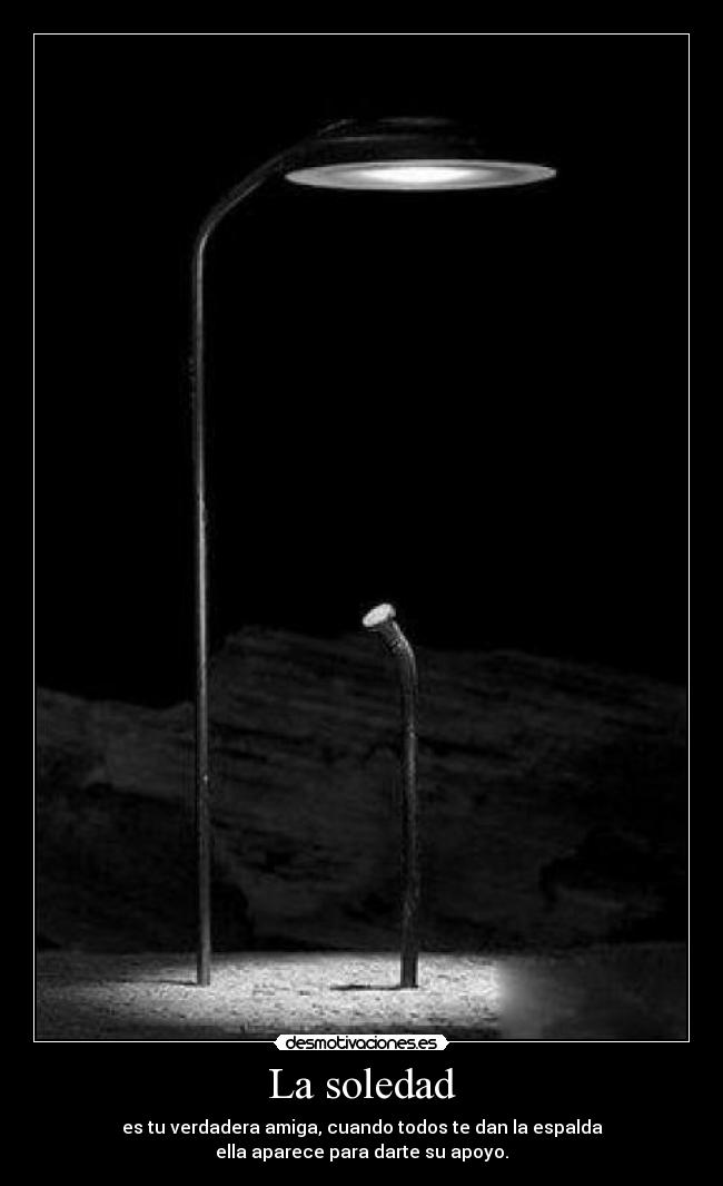 carteles soledad forever desmotivaciones