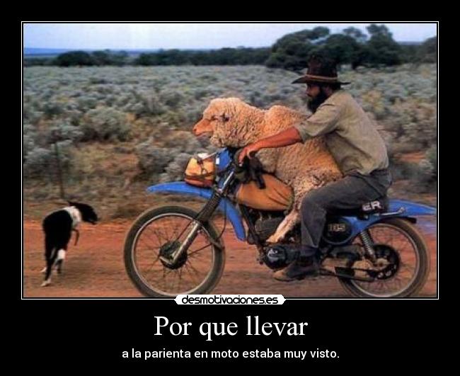 Por que llevar -
