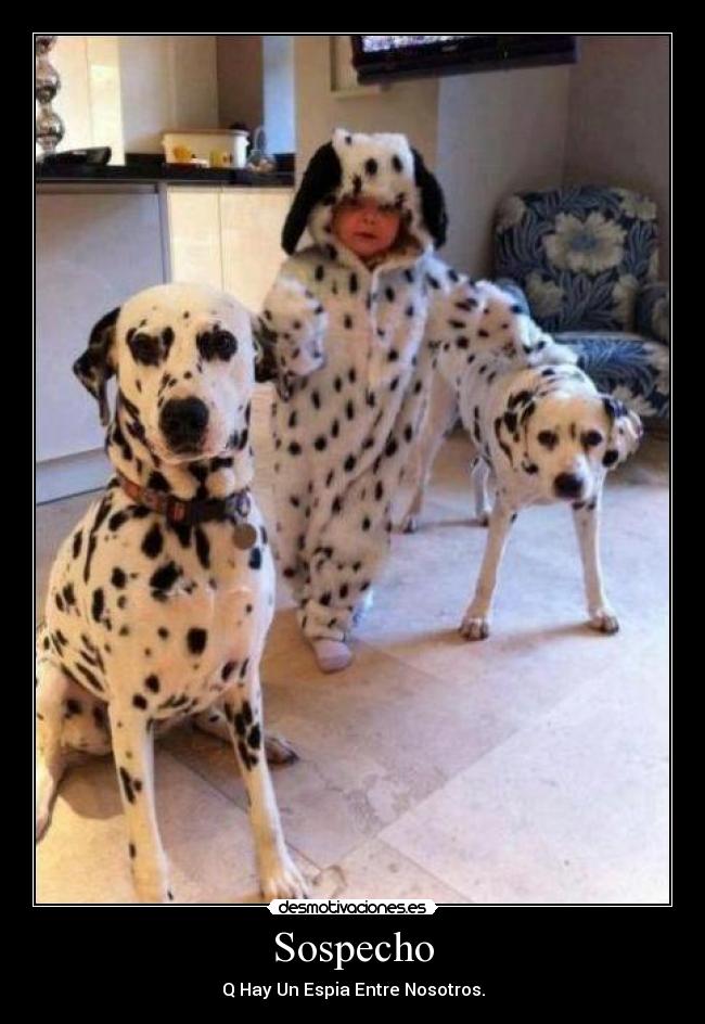 carteles yose nieves desmotivaciones