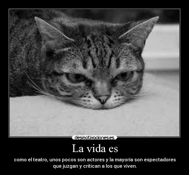 carteles vida gran berdad desmotivaciones