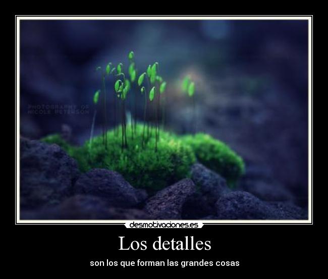 Los detalles - 