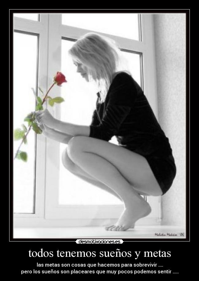 carteles panchito cambero aponte desmotivaciones