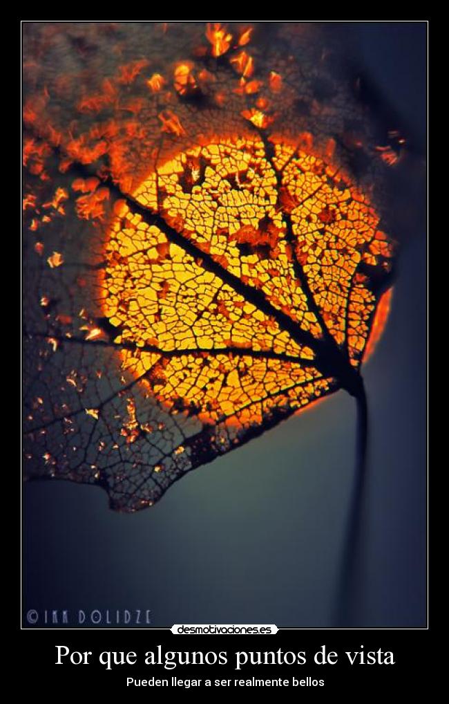 Por que algunos puntos de vista -