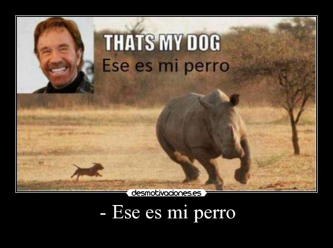 - Ese es mi perro -