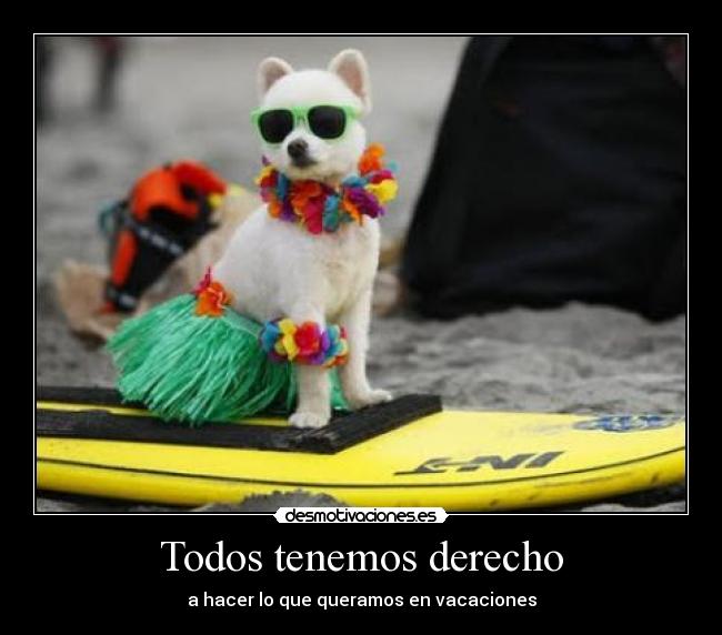 carteles  desmotivaciones