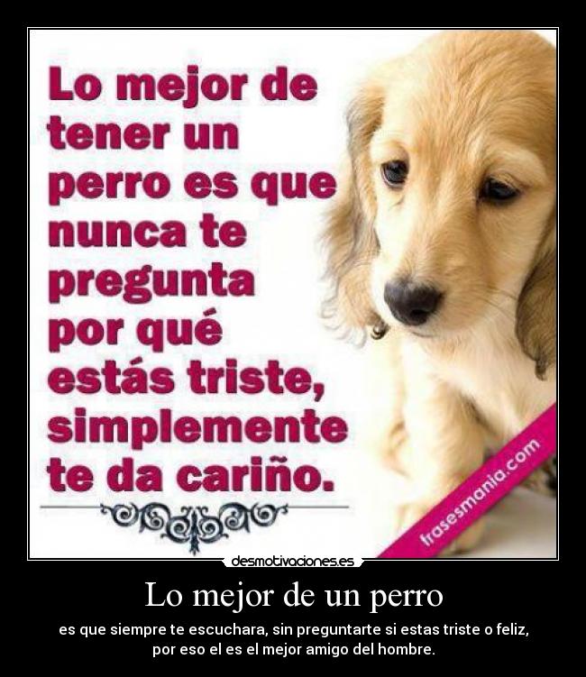 Lo mejor de un perro - es que siempre te escuchara, sin preguntarte si estas triste o feliz,
por eso el es el mejor amigo del hombre.