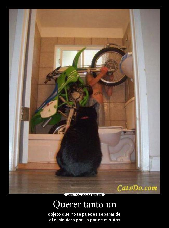 Querer tanto un - objeto que no te puedes separar de 
el ni siquiera por un par de minutos