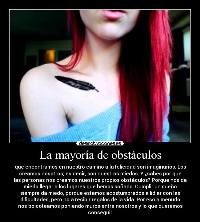 carteles obstaculos alma pena desmotivaciones