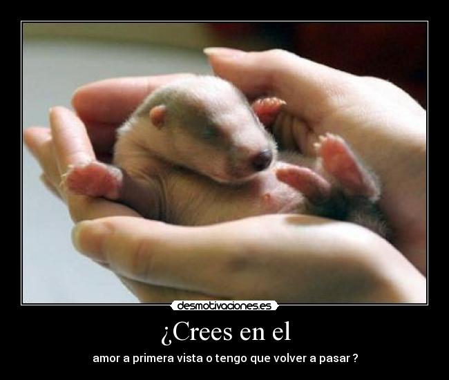 carteles tejon desmotivaciones