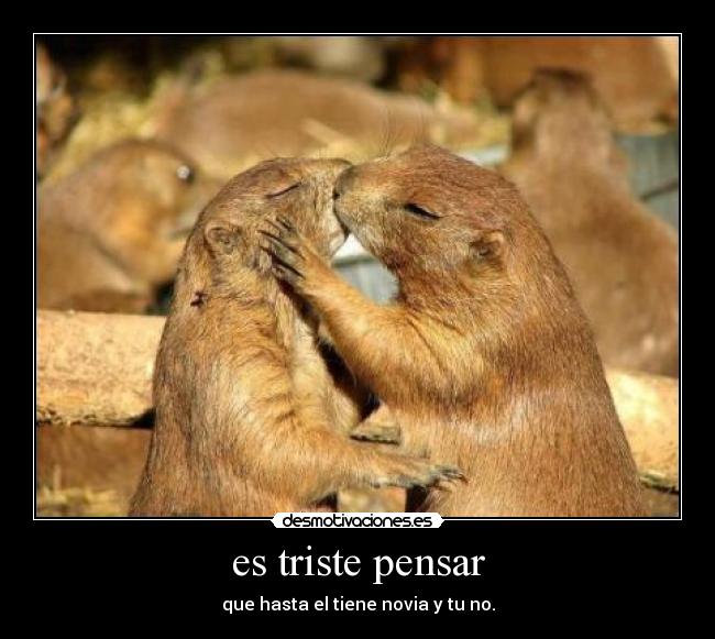 es triste pensar - que hasta el tiene novia y tu no.