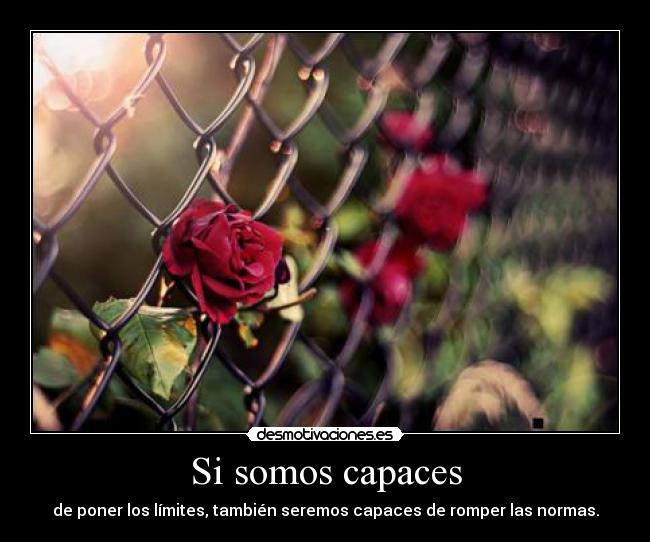 carteles normas desmotivaciones