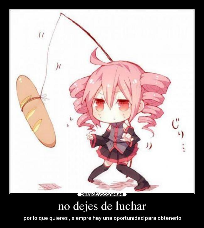 no dejes de luchar - 