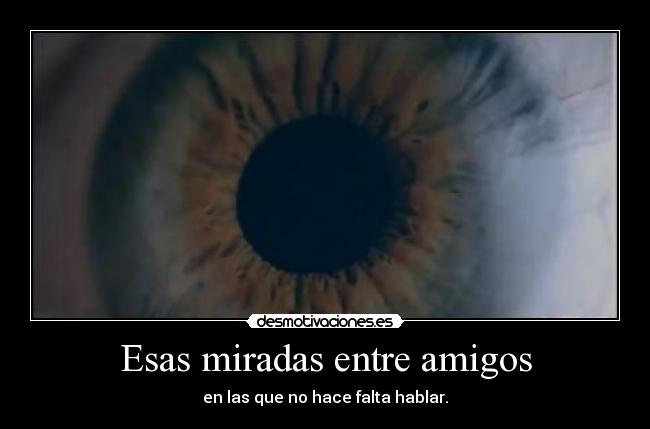 Esas miradas entre amigos - en las que no hace falta hablar.