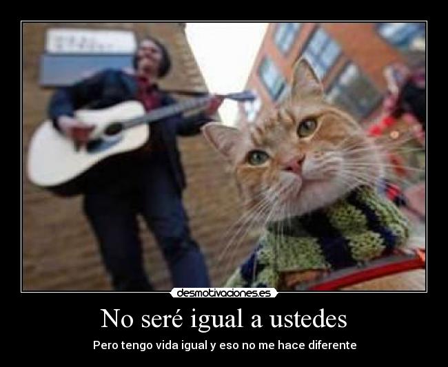 carteles iruchima desmotivaciones