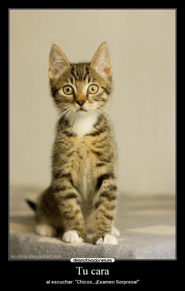 Tu cara - al escuchar: Chicos...¡Examen Sorpresa!