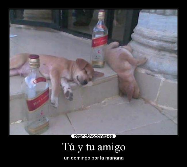 Tú y tu amigo -