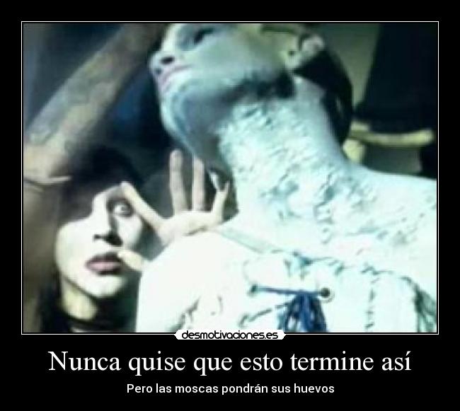 Nunca quise que esto termine así - Pero las moscas pondrán sus huevos