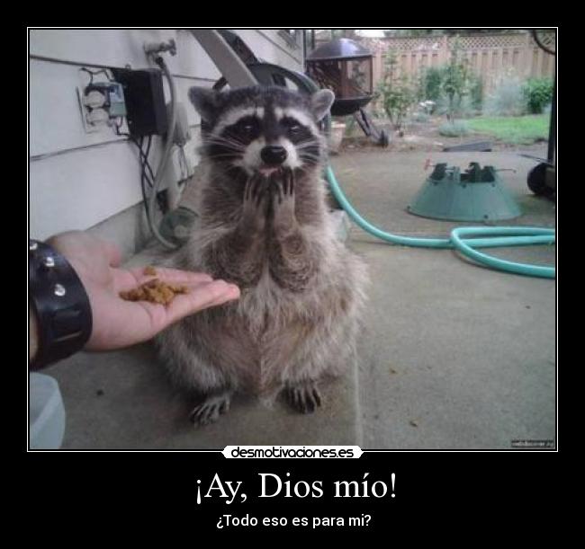 ¡Ay, Dios mío! - ¿Todo eso es para mi?