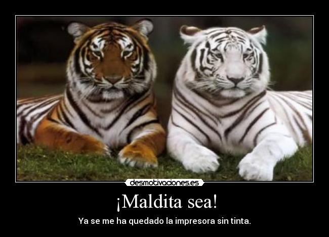 ¡Maldita sea! -