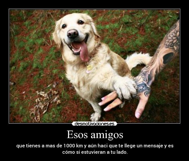 Esos amigos - 